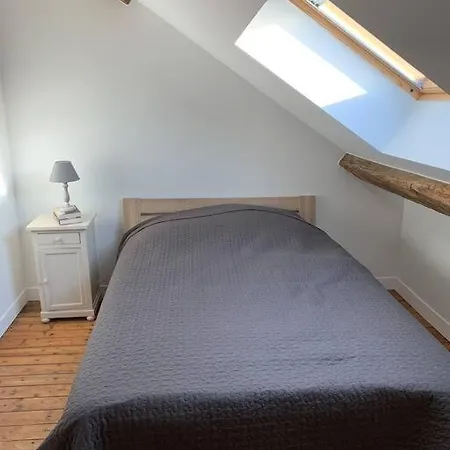 Feriehus Superbe Gite De 15 Personnes A Taillette